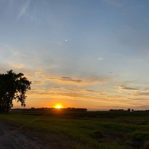 Meet your Posher, Hailey